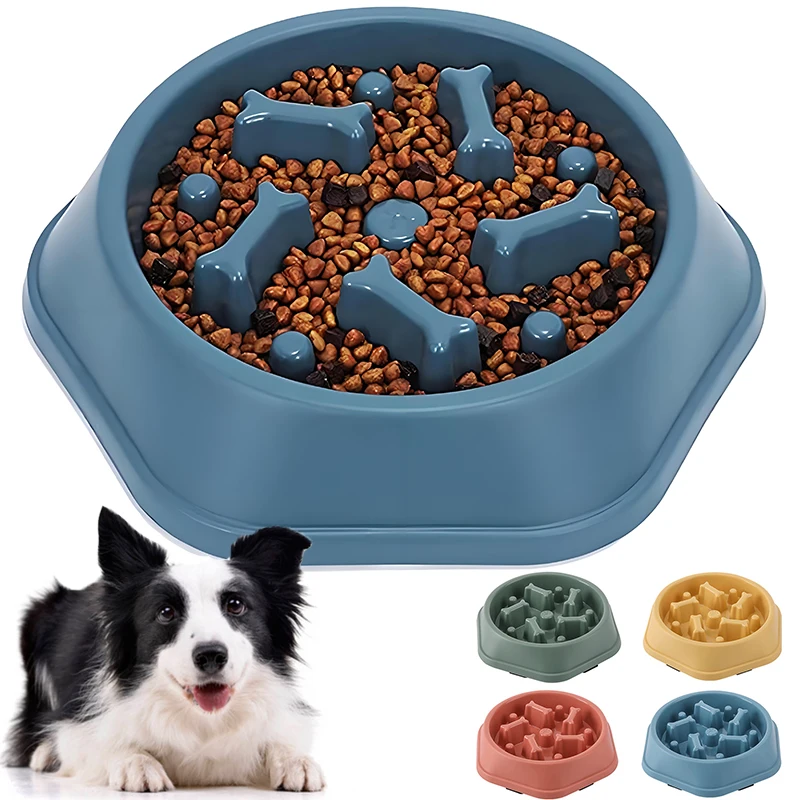 New Slow Feeder Dog Bowl Anti- - Royal Canin Food Medium ulasan dan harga