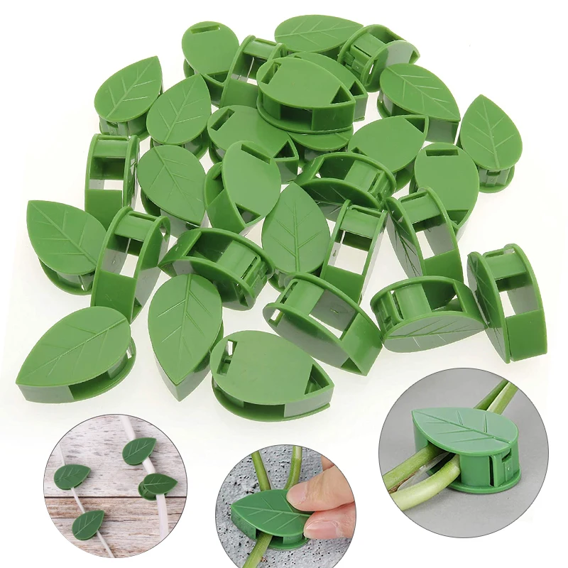 1-50Pcs invisible plant wall c - Vine Climbing Plastic ulasan dan harga
