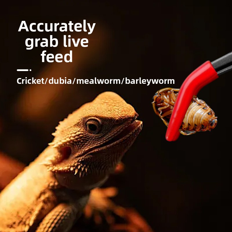 BarbarousGrowth Reptile Feedin - Feeding Tong Stainless ulasan dan harga