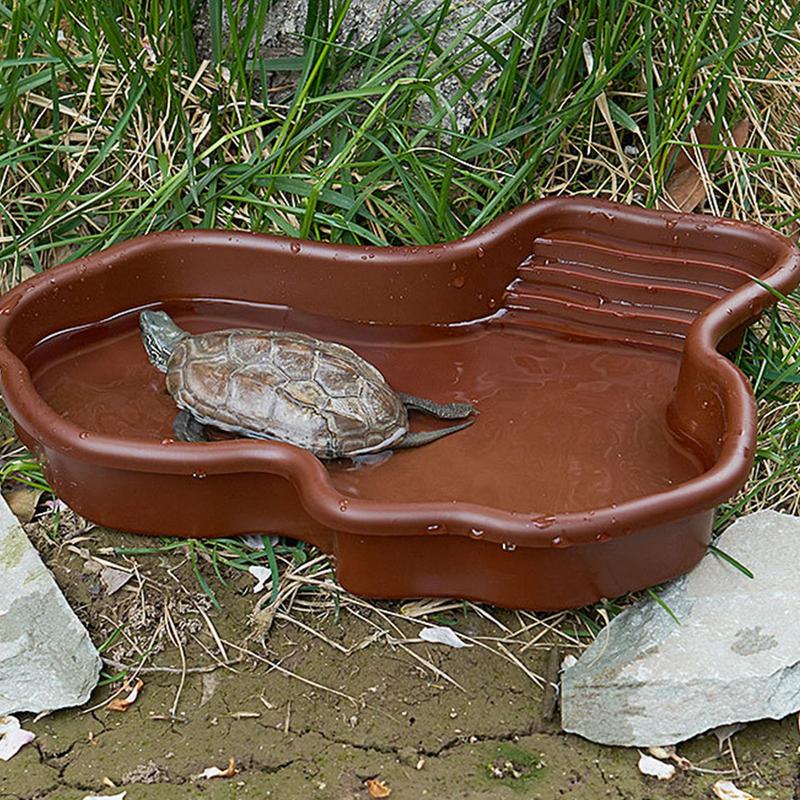 Turtle Feeding Dish Reptile Ba - Water Dish Reptile ulasan dan harga