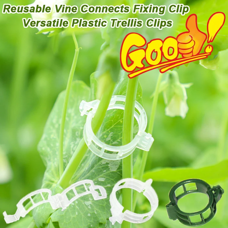 Reusable Vine Connects Fixing  - Vine Climbing Plastic ulasan dan harga