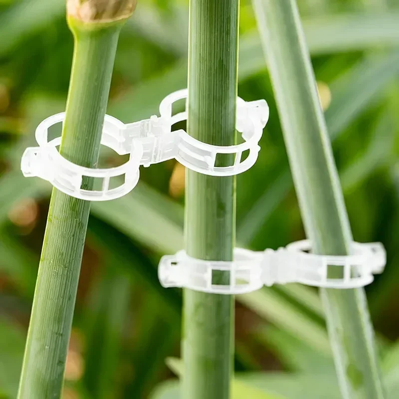 Reusable Vine Connects Fixing  - Vine Climbing Plastic ulasan dan harga