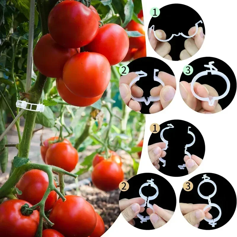 Reusable Vine Connects Fixing  - Vine Climbing Plastic ulasan dan harga
