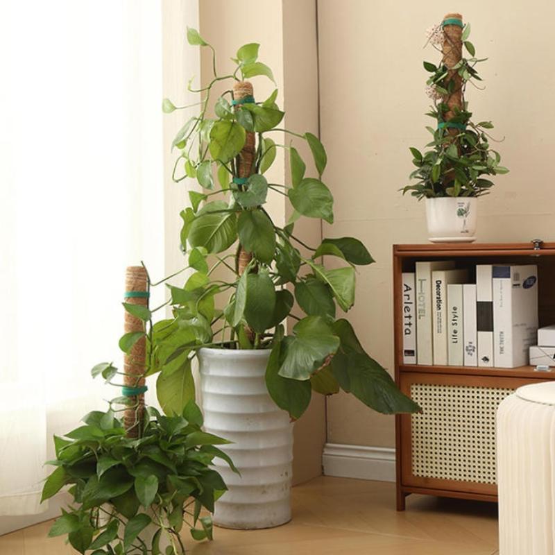 1Pcs Plant Growth Traction Rod - Vine Climbing Plastic ulasan dan harga