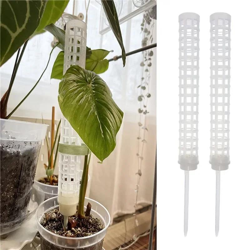 Plant Climbing Frame Plant Tre - Vine Climbing Plastic ulasan dan harga