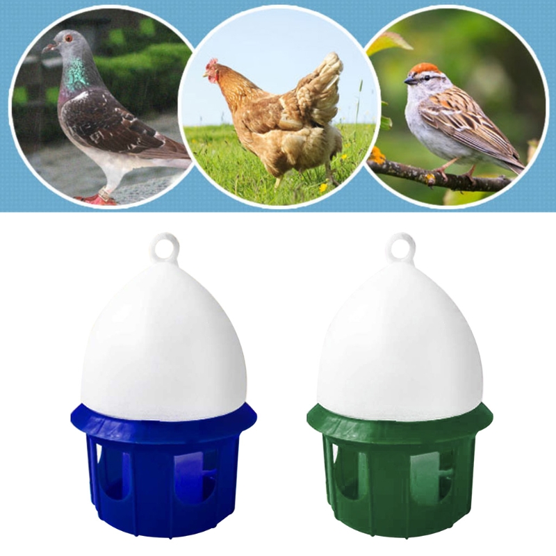 for Pigeon Water Dispenser Dur - Vitamin D3 Reptile ulasan dan harga
