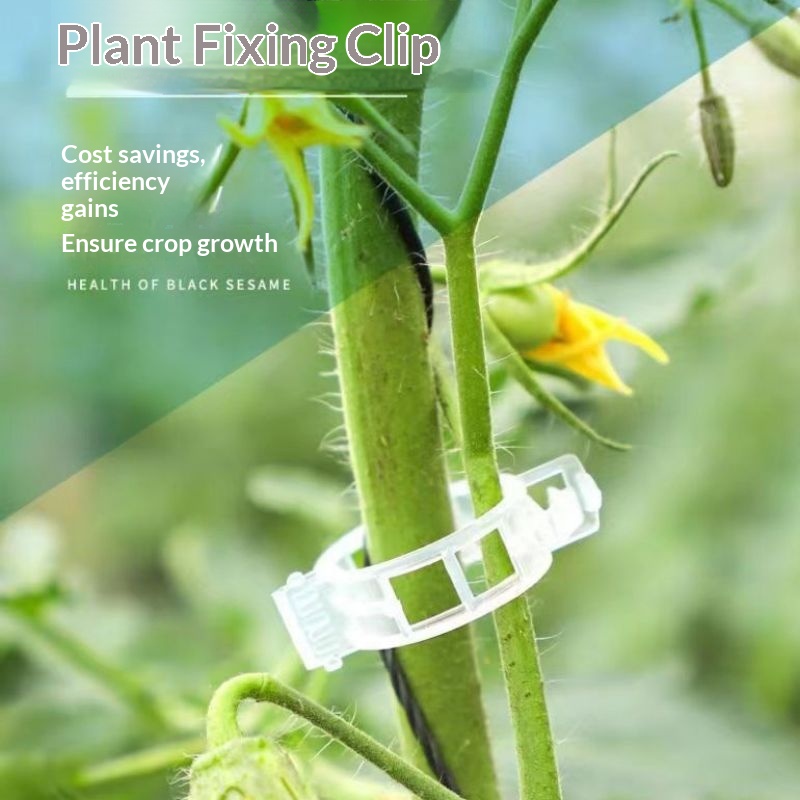 Plastic Plant Support Clips Re - Vine Climbing Plastic ulasan dan harga